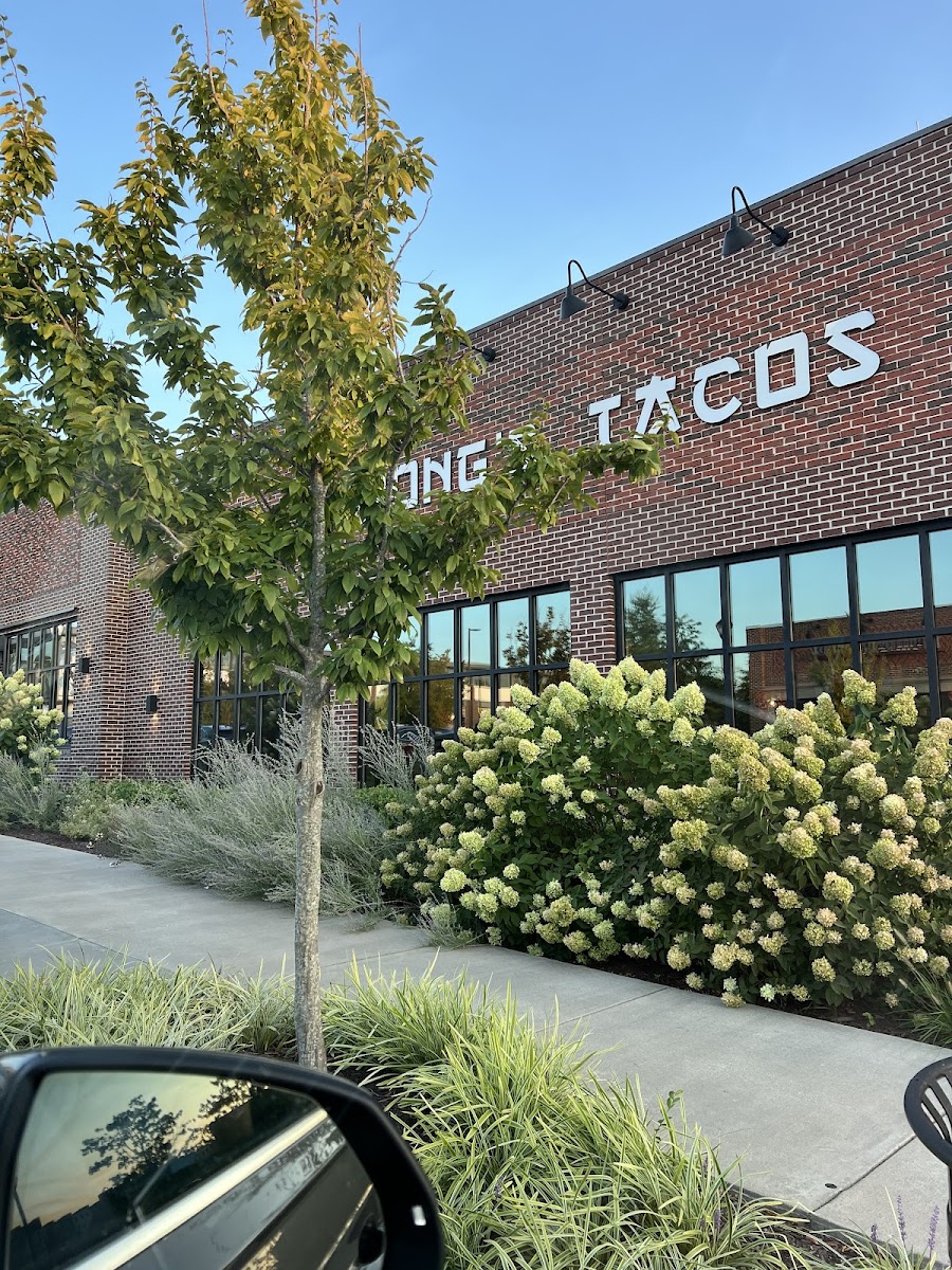 Wong's Tacos - Midlothian